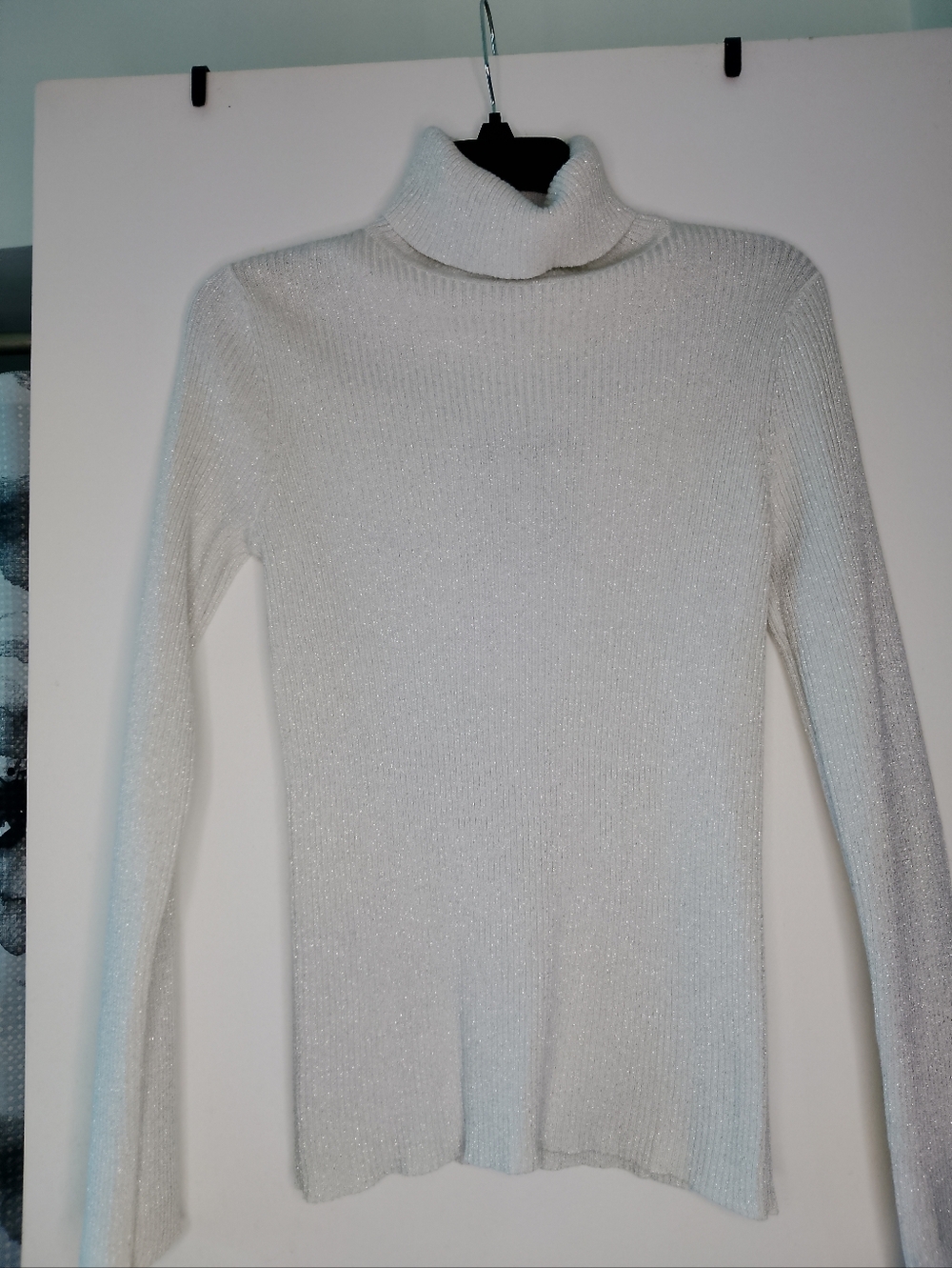 Silver Shimmer Turtleneck